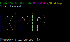 terminal